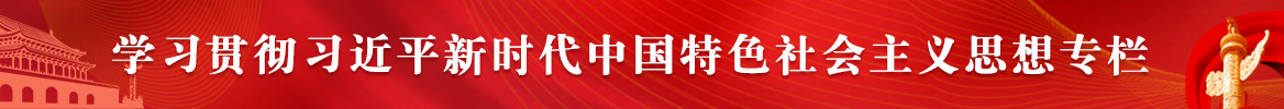 学习贯彻习近平新时代中国特色社会主义思想